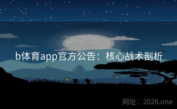 b体育app官方公告：核心战术剖析