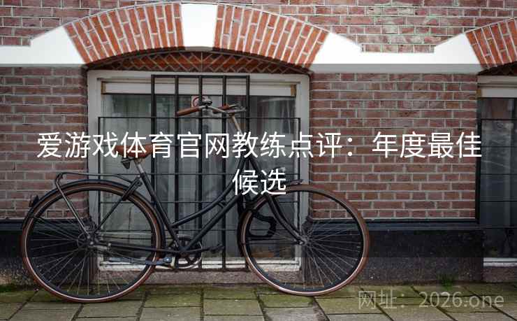 爱游戏体育官网教练点评：年度最佳候选