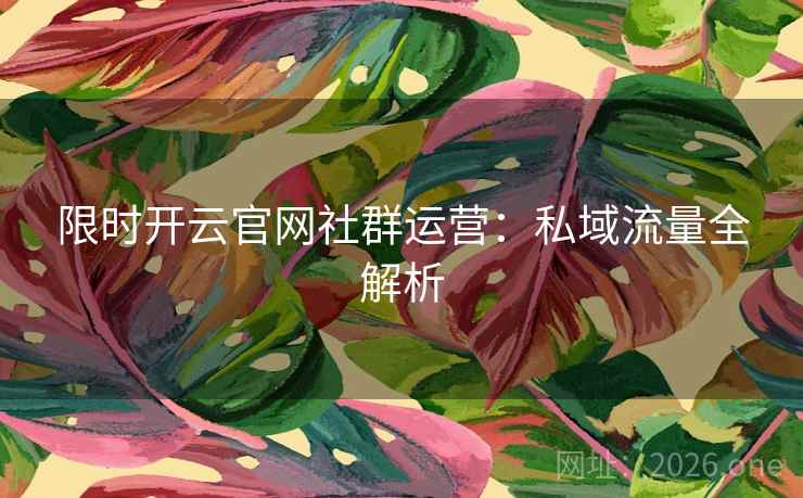 限时开云官网社群运营：私域流量全解析