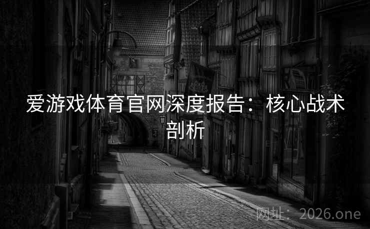 爱游戏体育官网深度报告：核心战术剖析