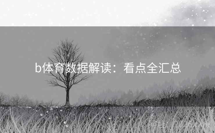b体育数据解读：看点全汇总