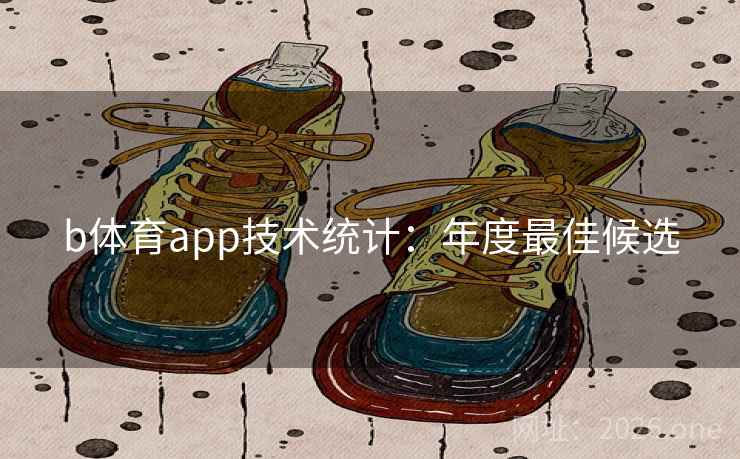 b体育app技术统计：年度最佳候选