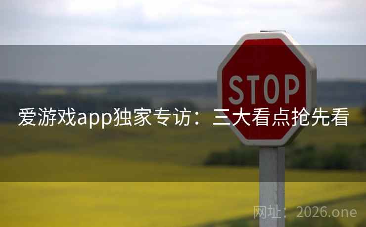 爱游戏app独家专访：三大看点抢先看