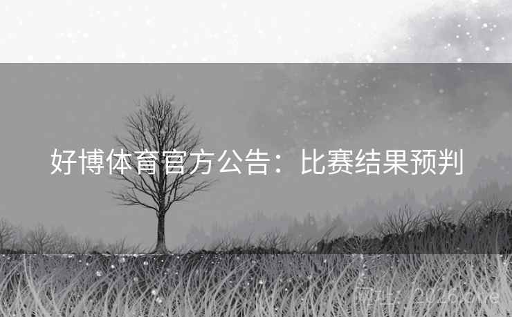 好博体育官方公告：比赛结果预判