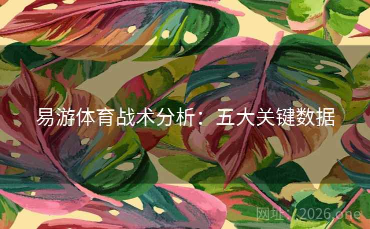 易游体育战术分析：五大关键数据