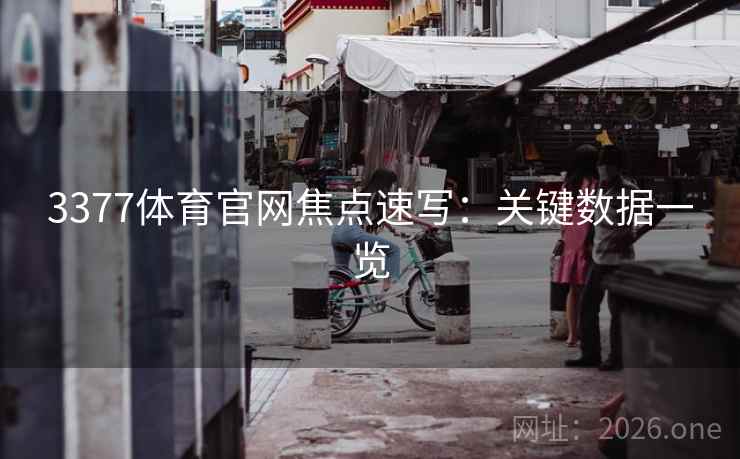 3377体育官网焦点速写：关键数据一览